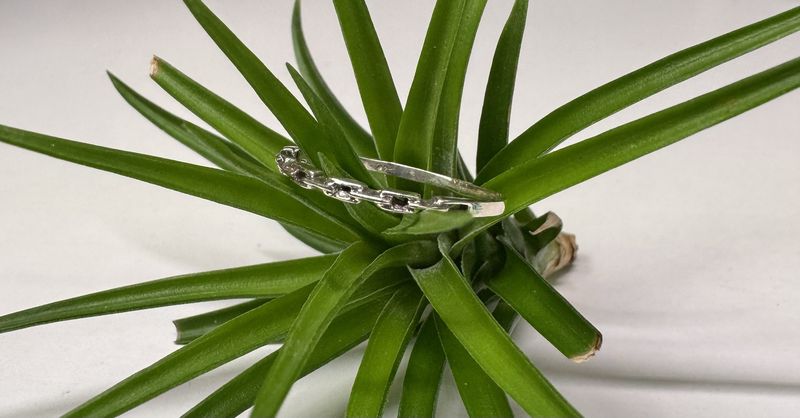 Sterling Silver Chain Link Ring (9)