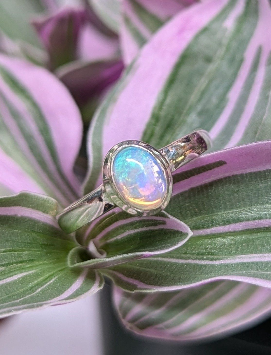 Small Oval Opal Sterling Silver Ring (8)