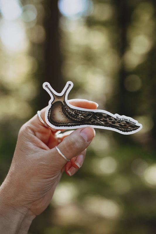 Colourful Banana Slug Sticker