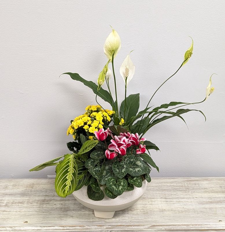 8&quot; Footed Ceramic Mixed Planter