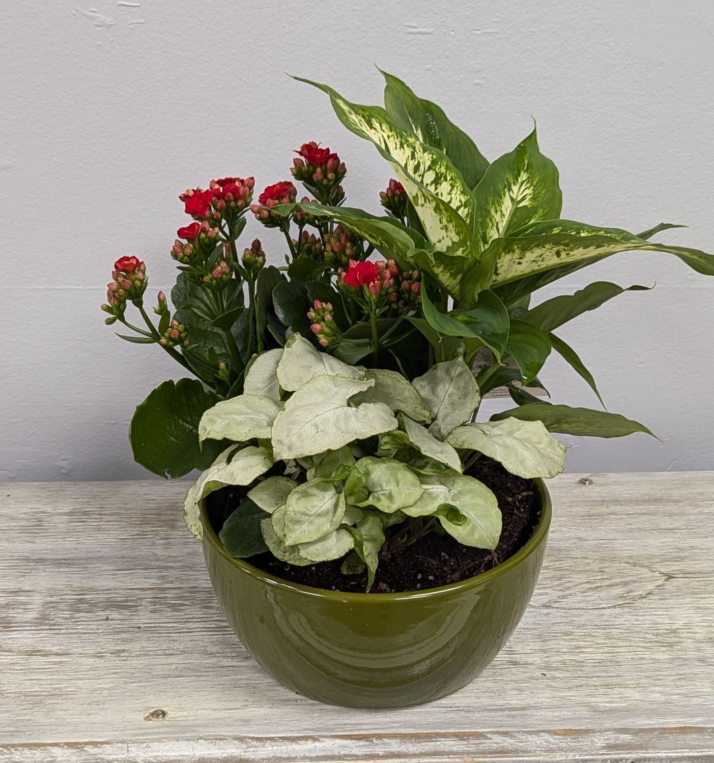 7&quot; Green Round Mixed Planter
