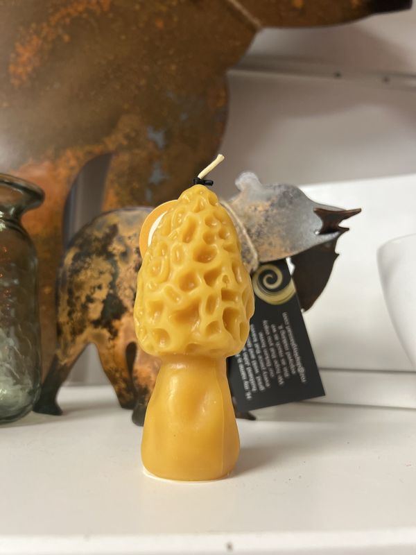 Grand Morel Beeswax Candle
