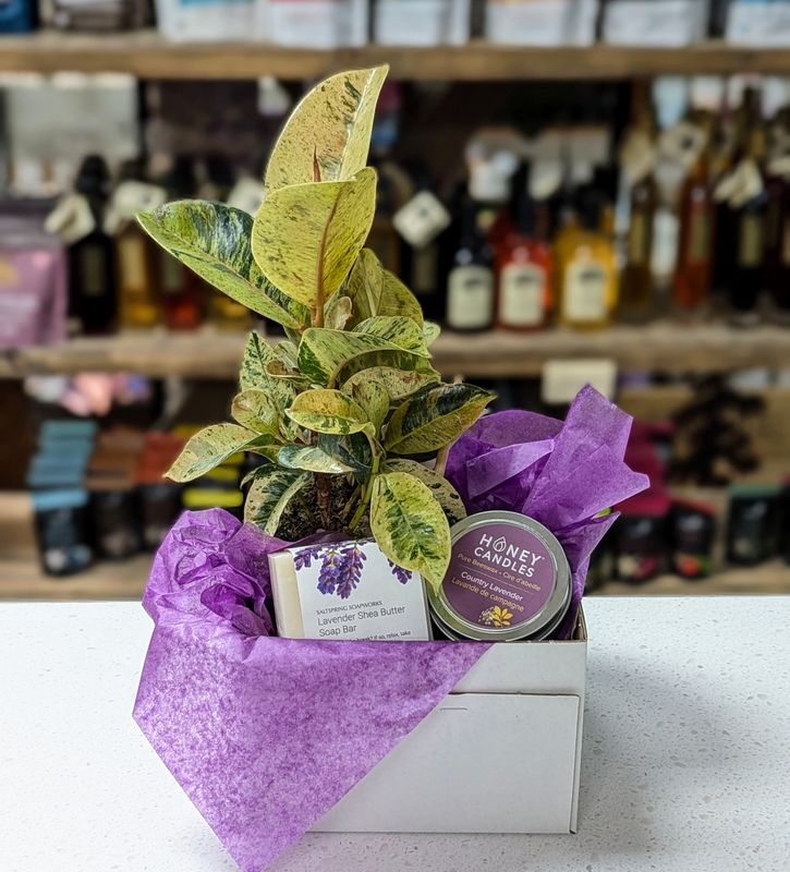 Lavender Lover Gift Set