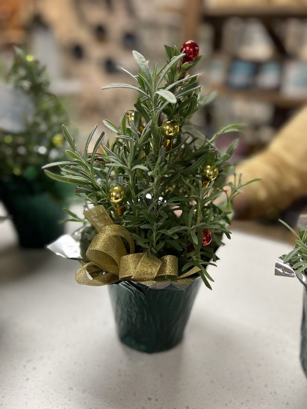 Christmas Lavender Tree
