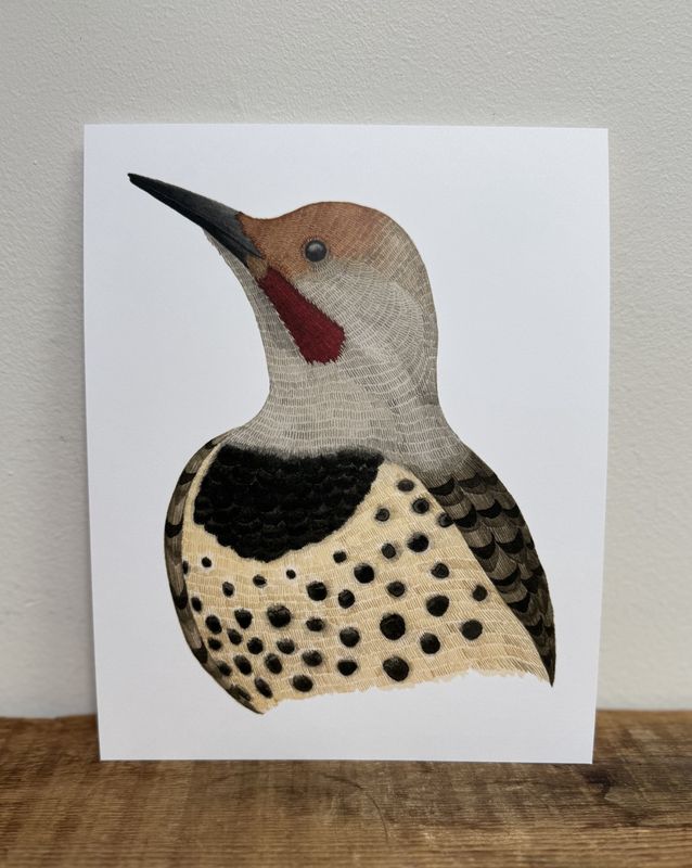 5 x 7 Flicker Watercolour Print