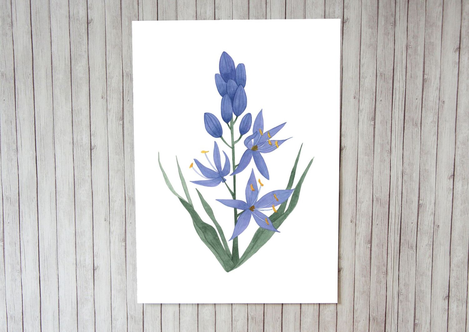 Camas Lily 8 x 10 Watercolour Print