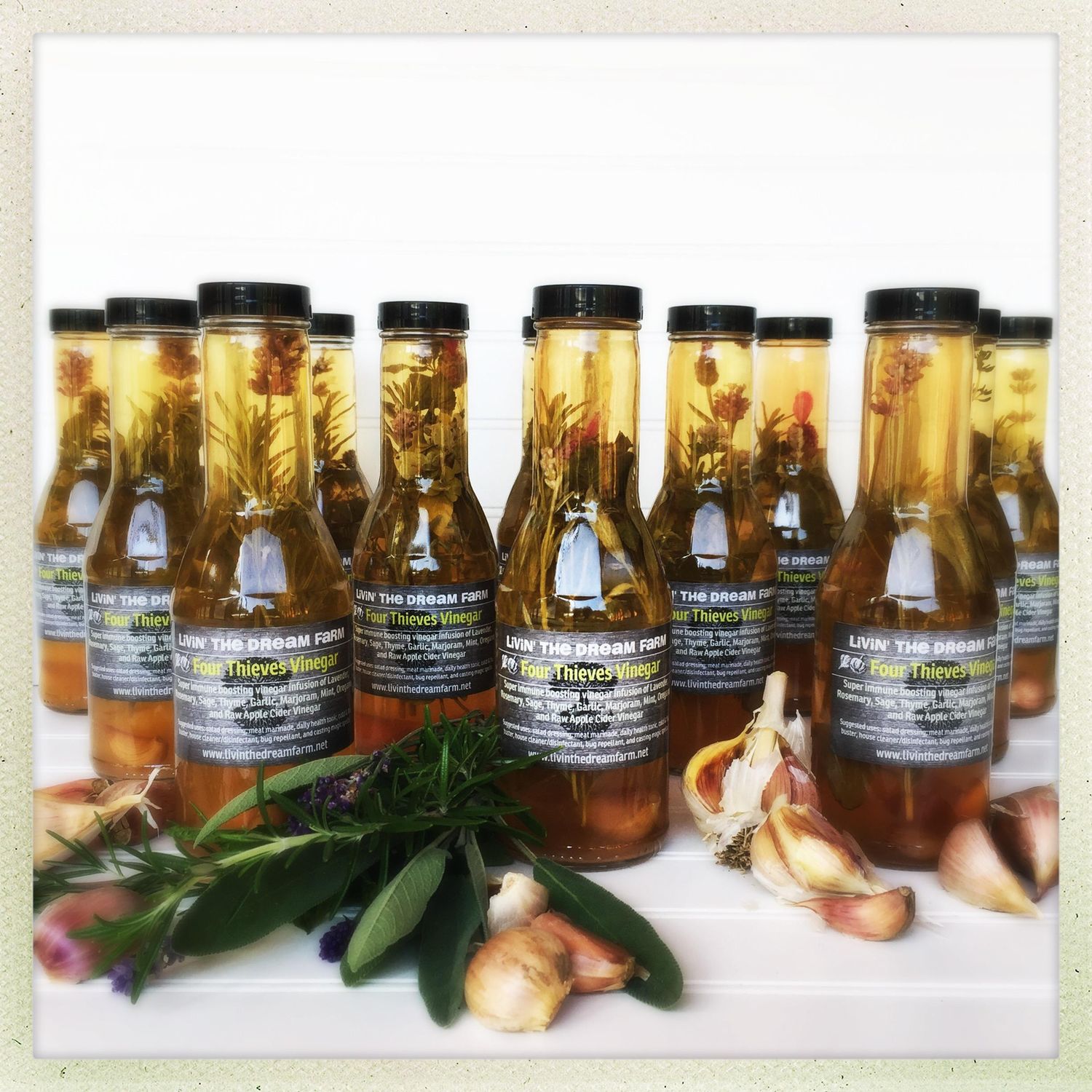 Four Thieves Vinegar