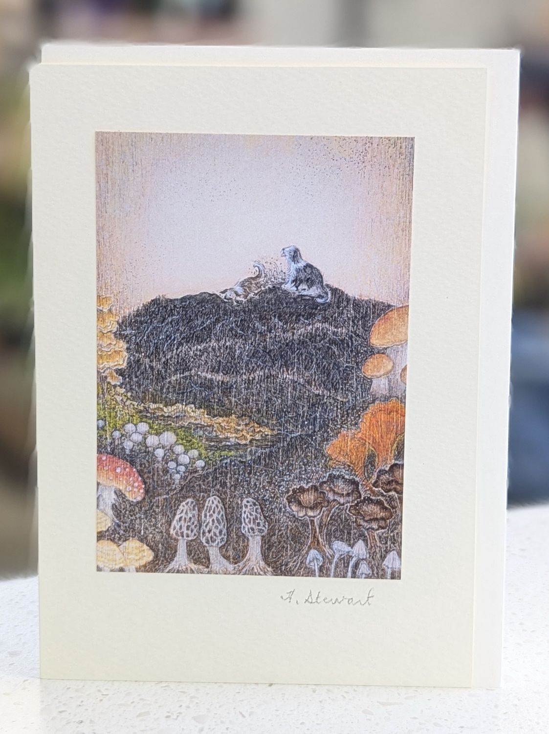 Mushroom Hill Card