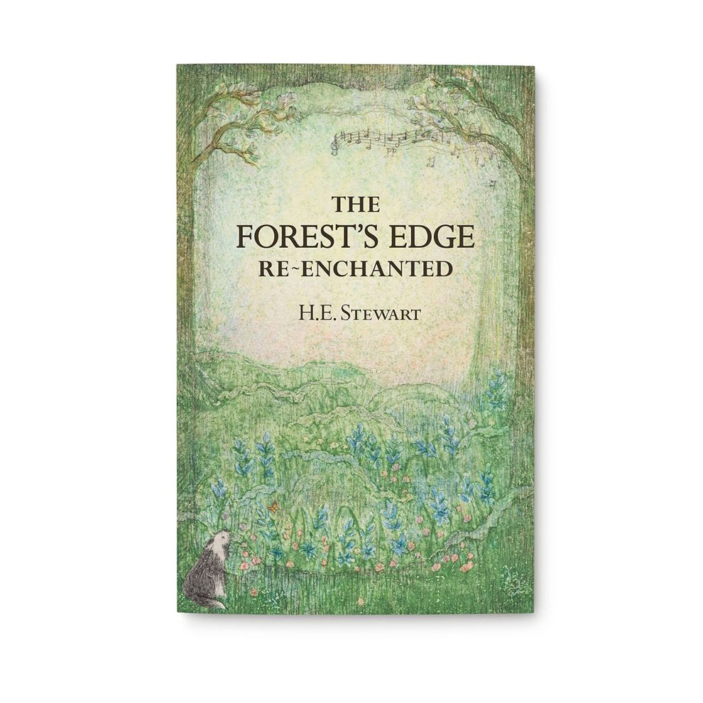 The Forest's Edge Re-Enchanted