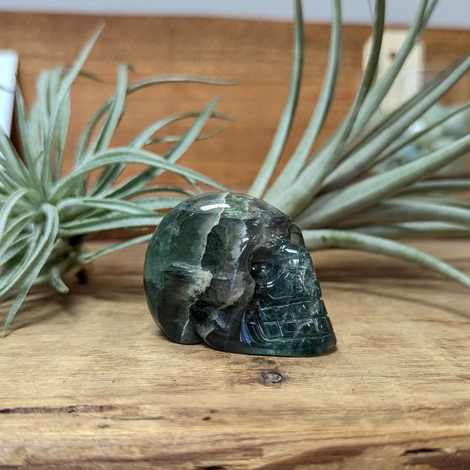 Fluorite Skull, Size: Medium