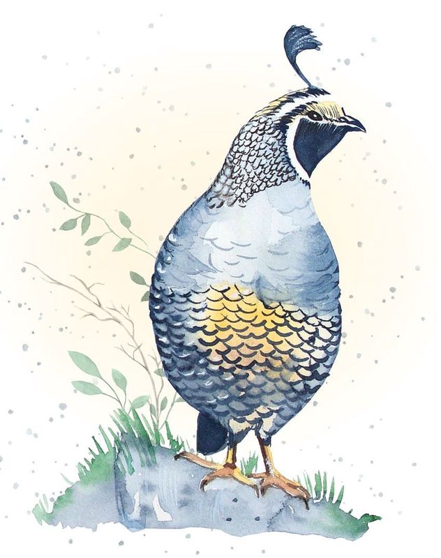 Top Knot-ch Mini Card