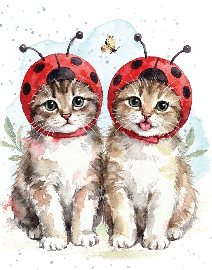 Hugs and Ladybugs Mini Card