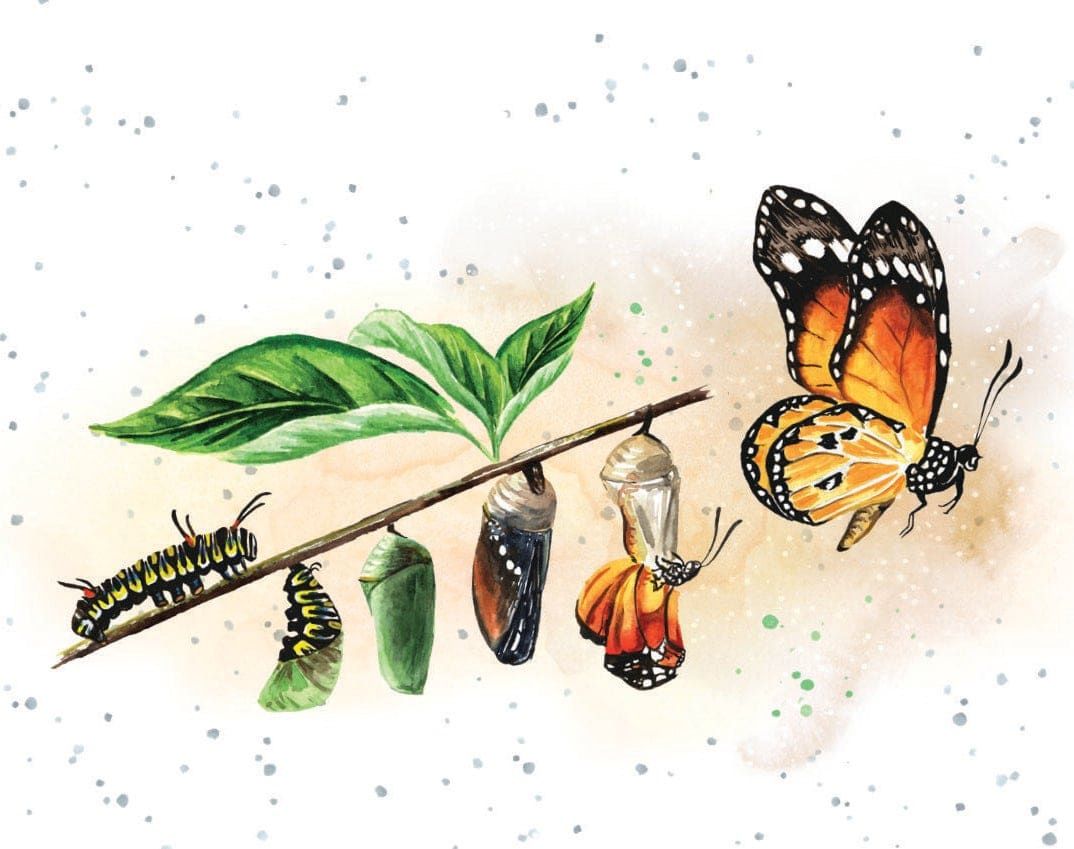 Metamorphosis Mini Card