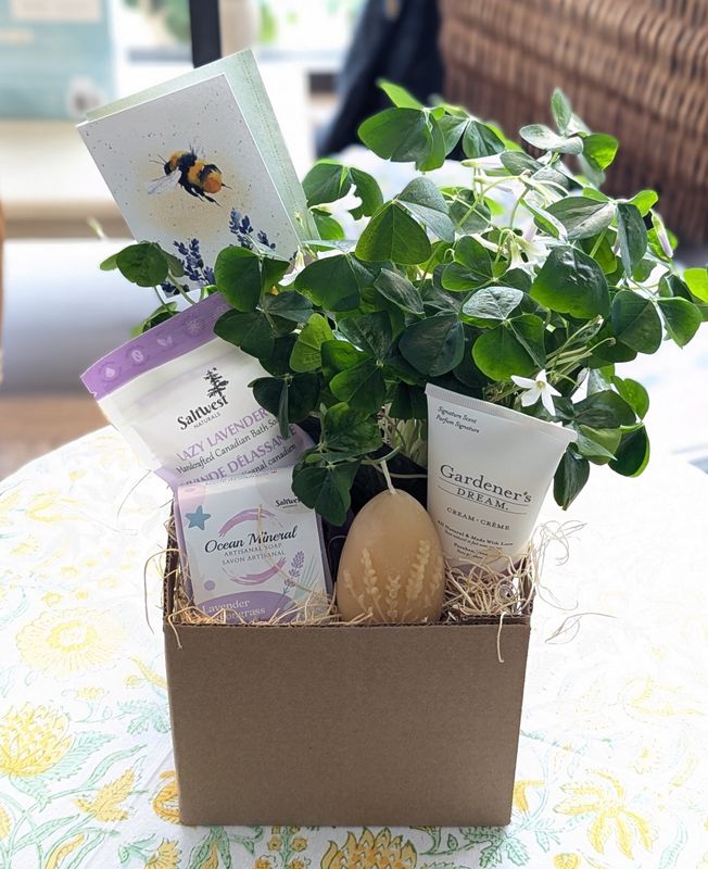 Lavender Lover Gift Set