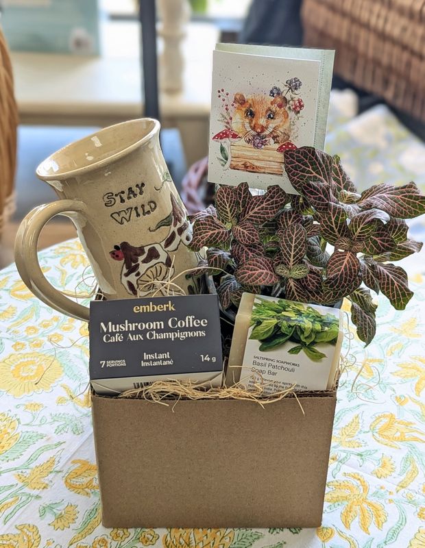 Mushroom Lover Gift Set