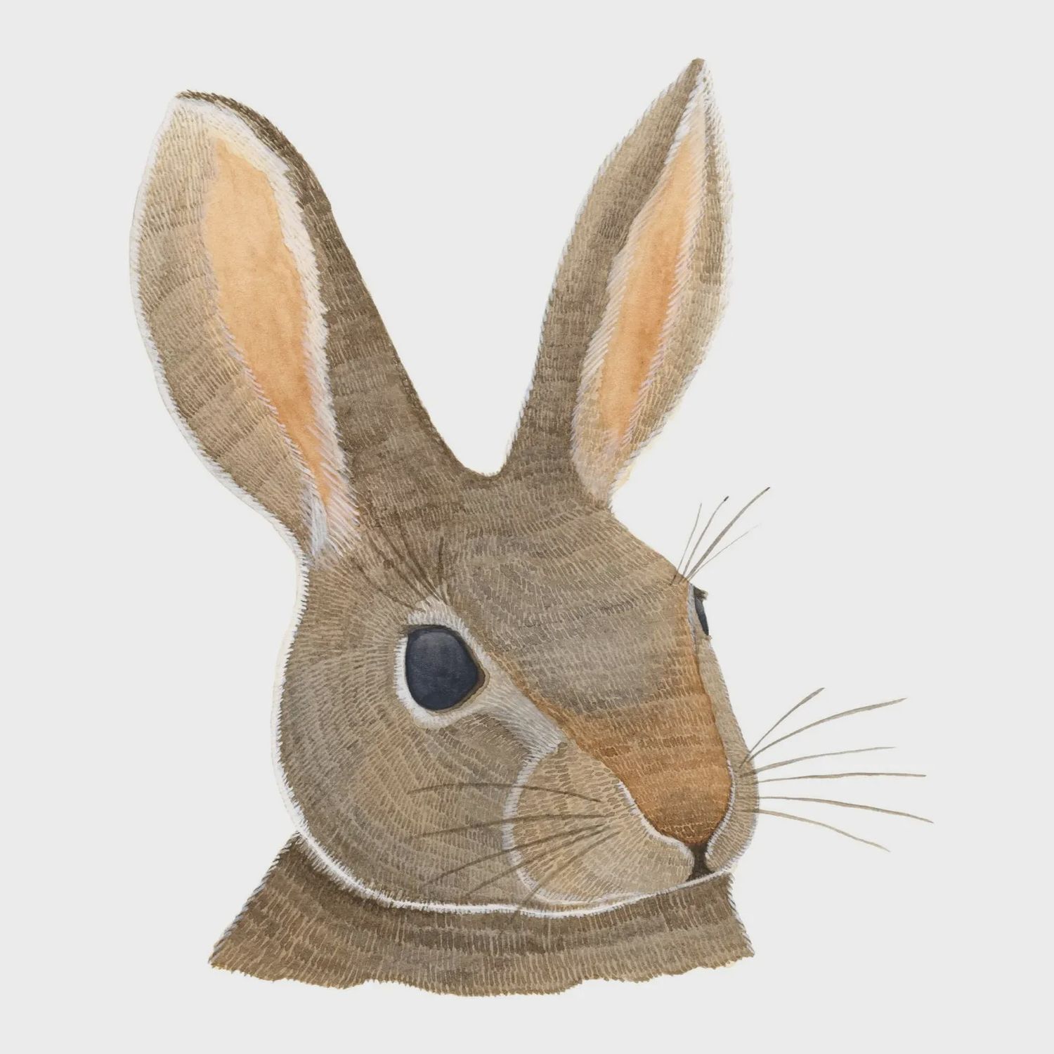 Rabbit Watercolour Print 8 x 10