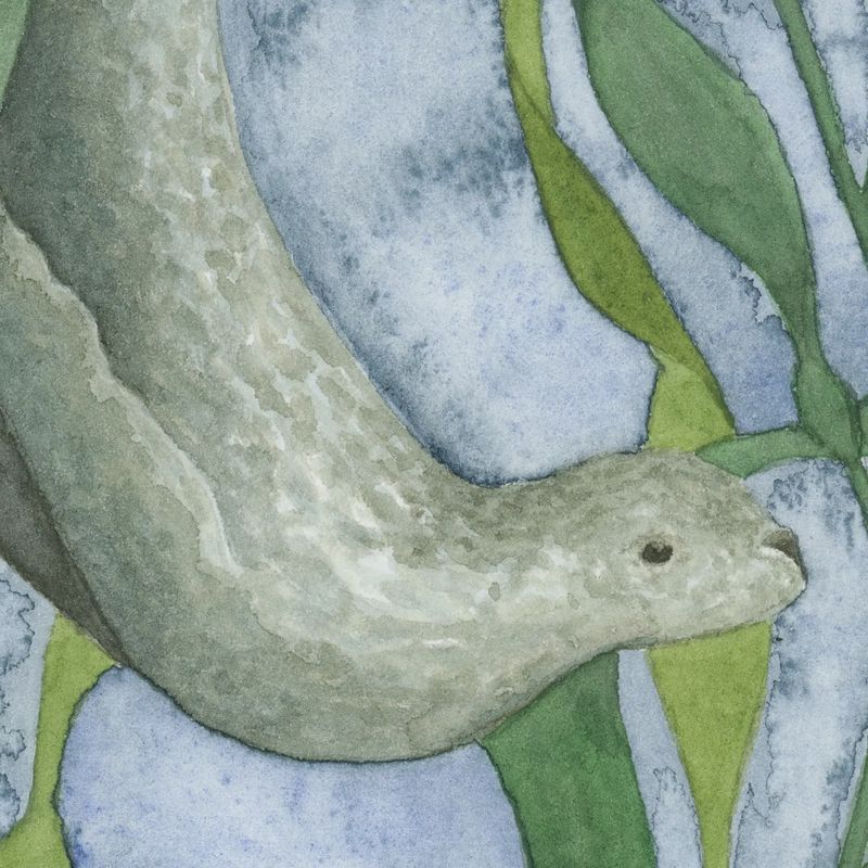 Seal and Kelp Watercolour Print 8 x 10