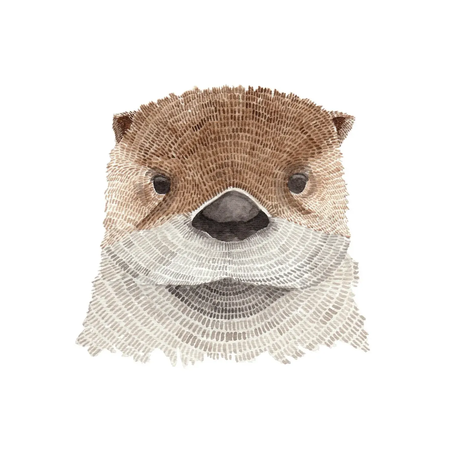 Otter Watercolour Print 8 x 10