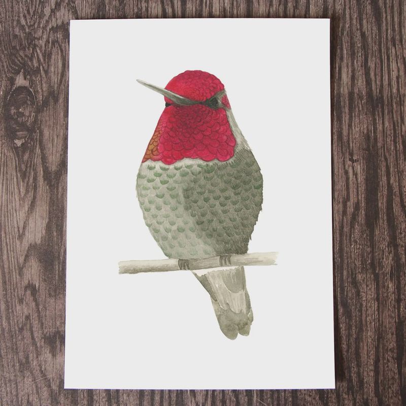 Male Anna's Hummingbird Watercolour Print 8 x 10