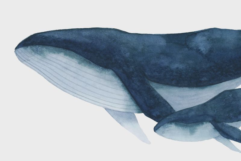 Whale and Child Watercolour Print 8 x 10