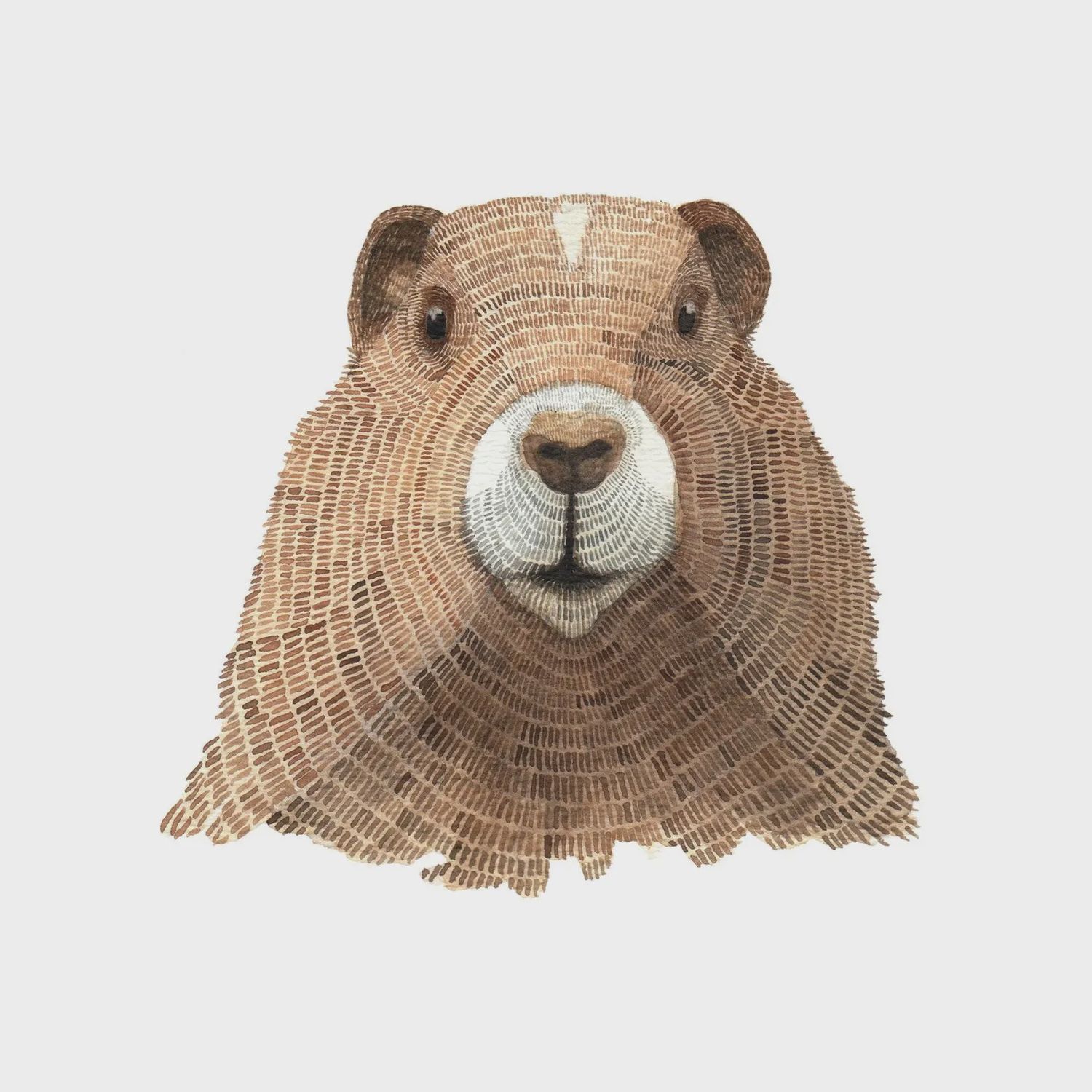 Marmot Watercolour Print 8 x 10