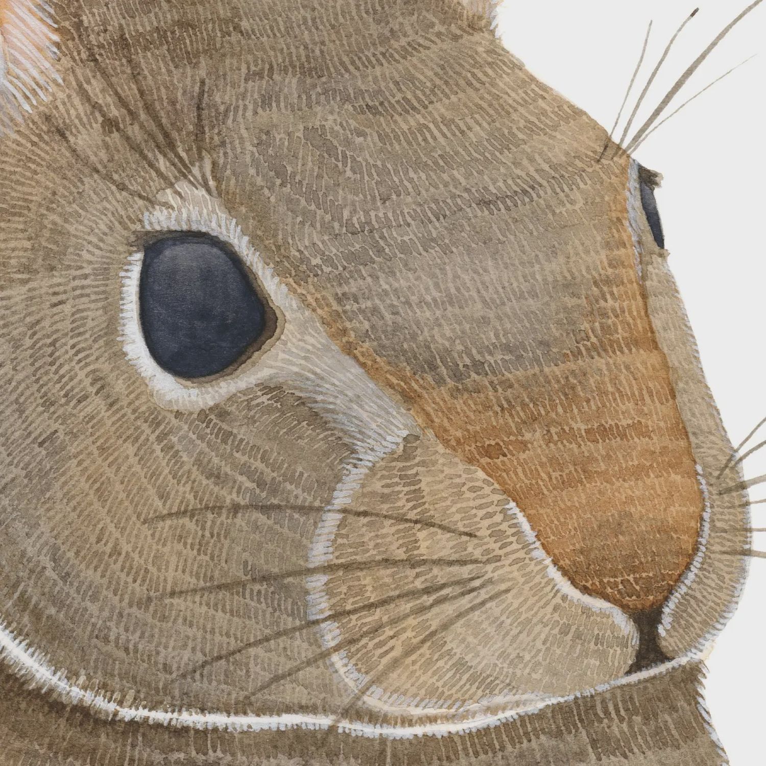 Rabbit Watercolour Print 5 x 7