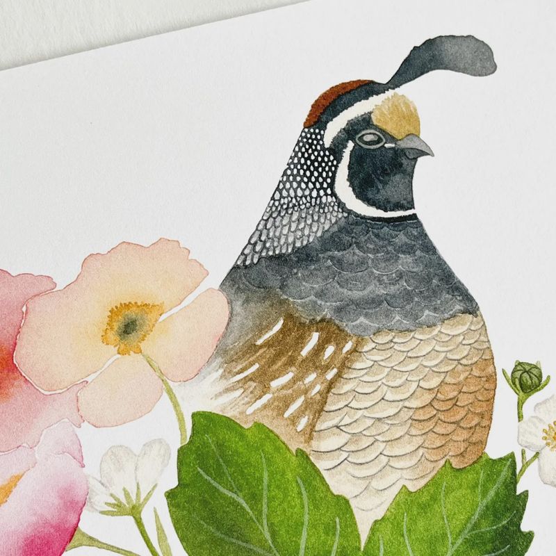 Quail With Flowers Watercolour Print 5 x 7