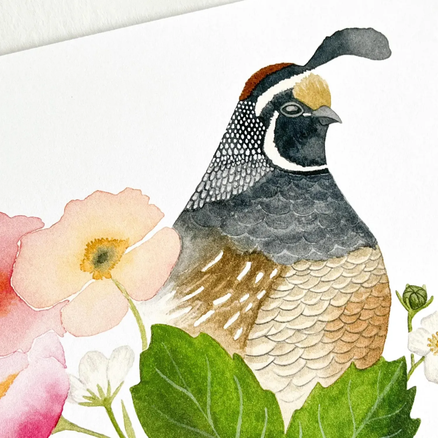 Quail With Flowers Watercolour Print 5 x 7