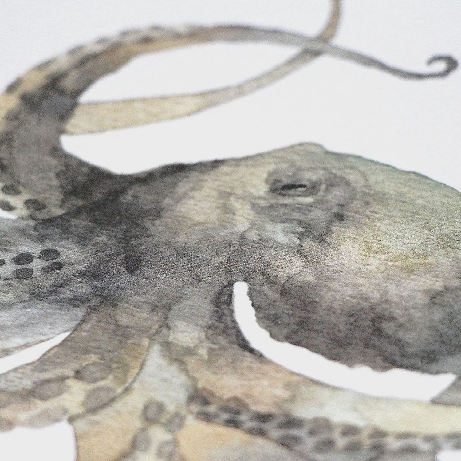 Green Octopus watercolour Print 5 x 7