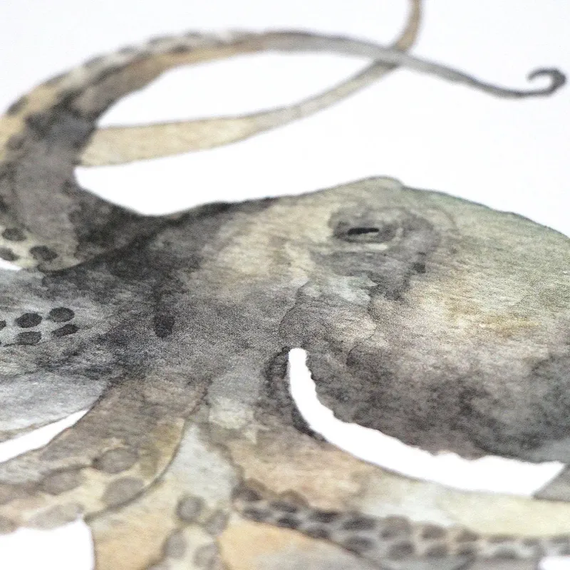 Green Octopus watercolour Print 5 x 7