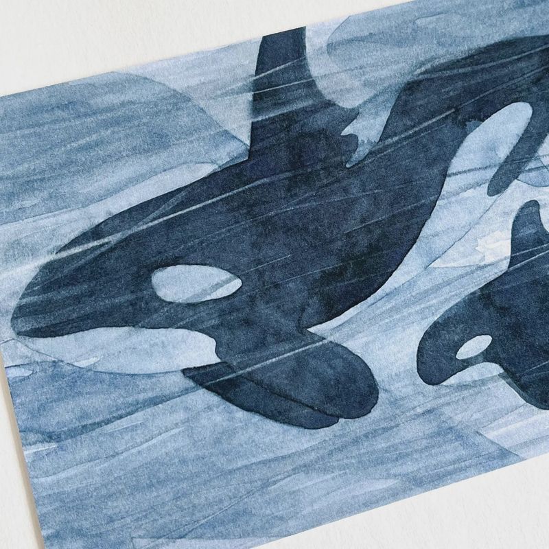 Orcas Underwater Watercolour Print 5 x 7