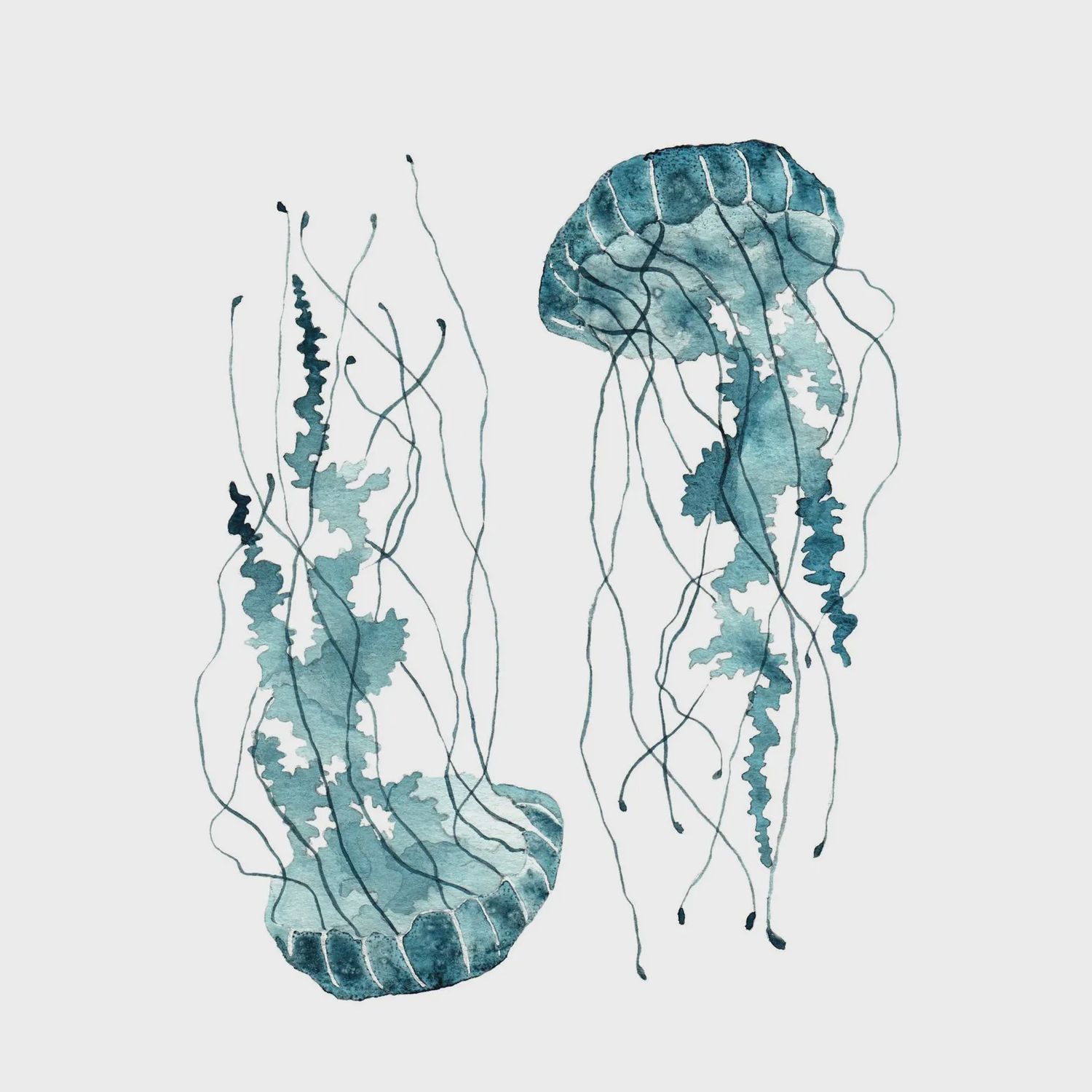 Blue Jellyfish Watercolour Print 5 x 7