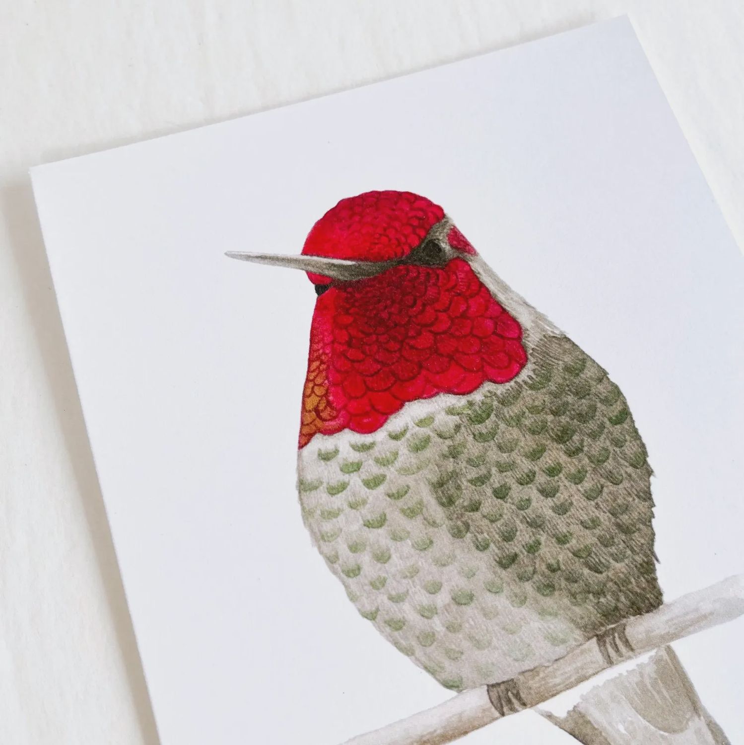 Male Anna's Hummingbird Watercolour Print 5 x 7