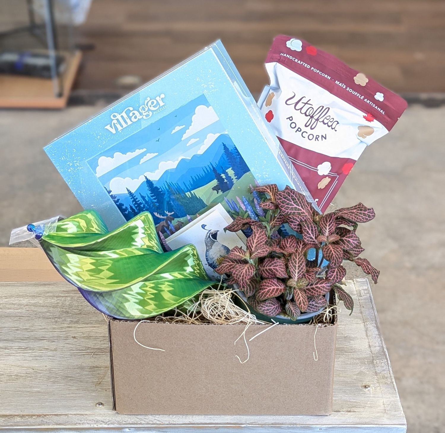 Garden Spinner Gift Set