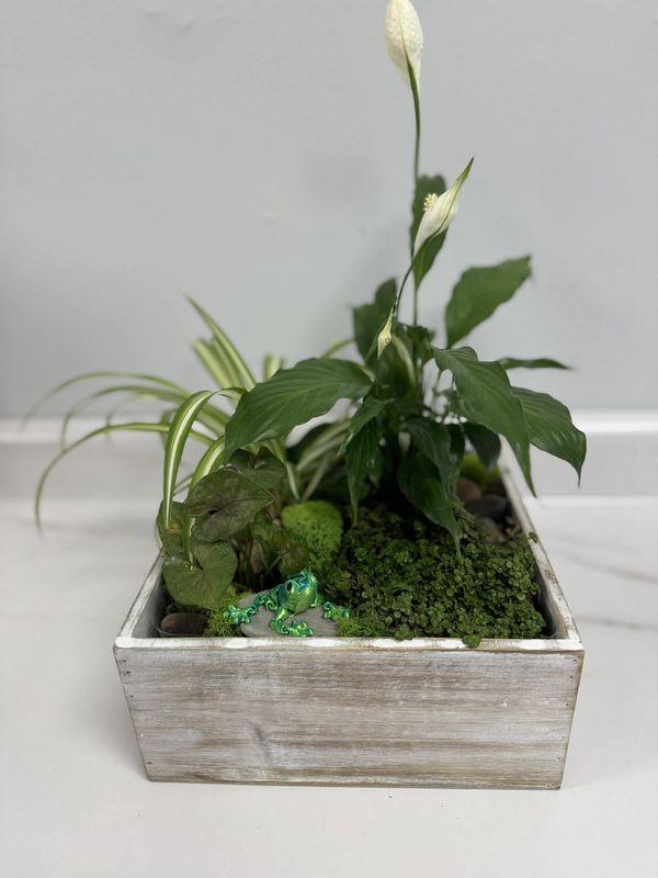 Mixed Indoor Wood Planter