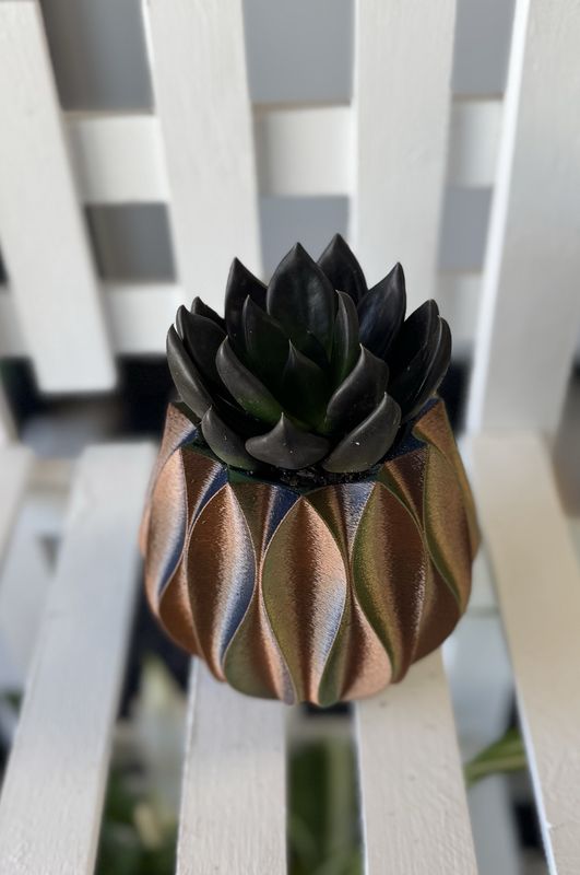 4" Succulent in 3D Printed Pot