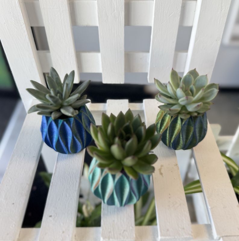 2" Succulent in 3D Printed Pot