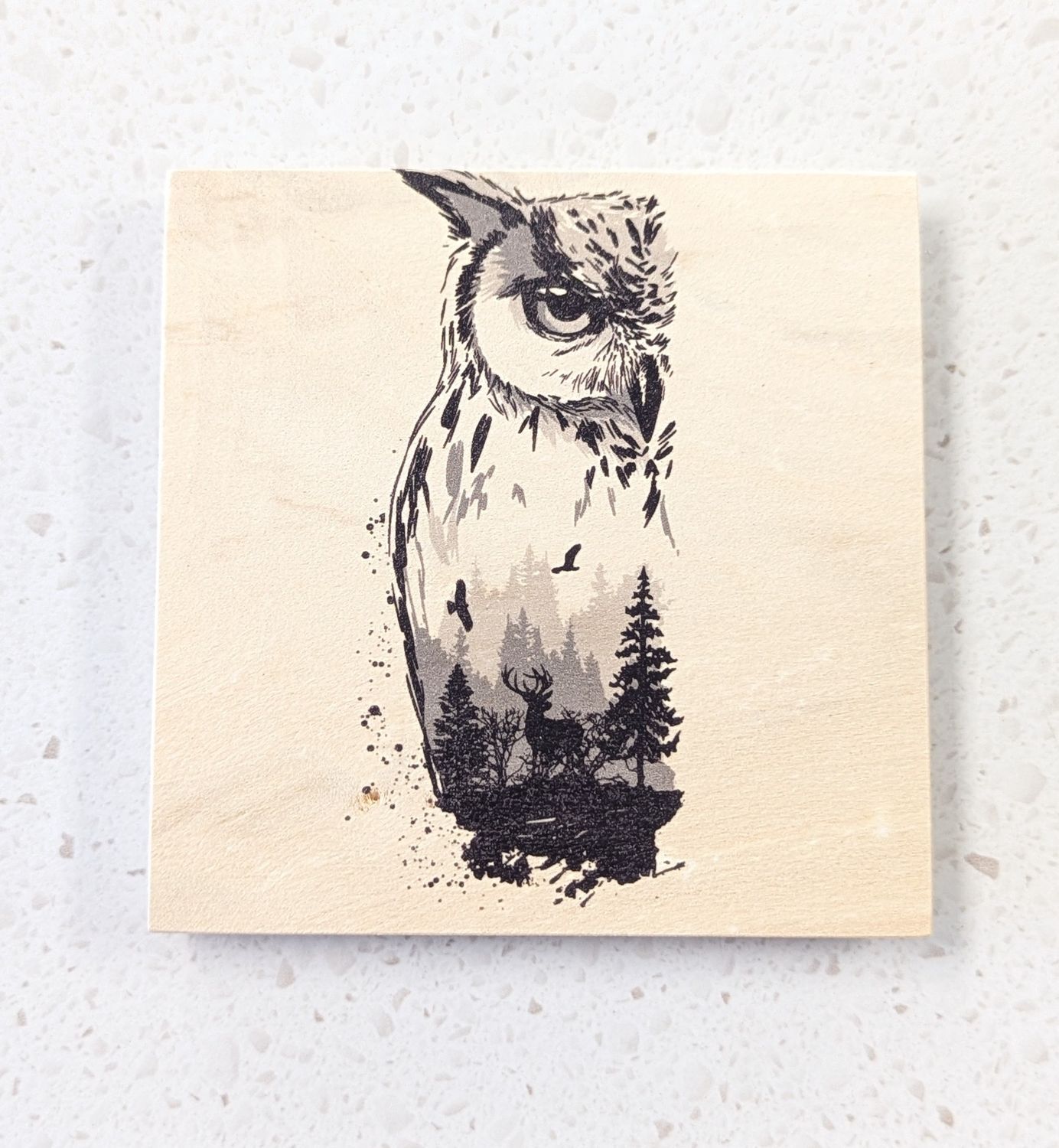 Owl Wood Coaster