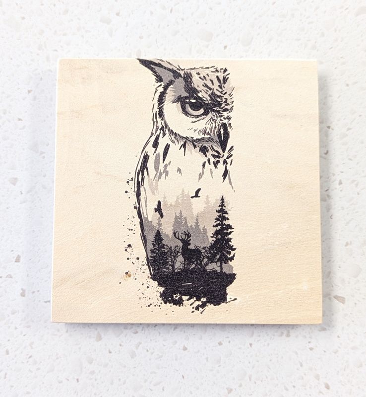 Owl Wood Coaster