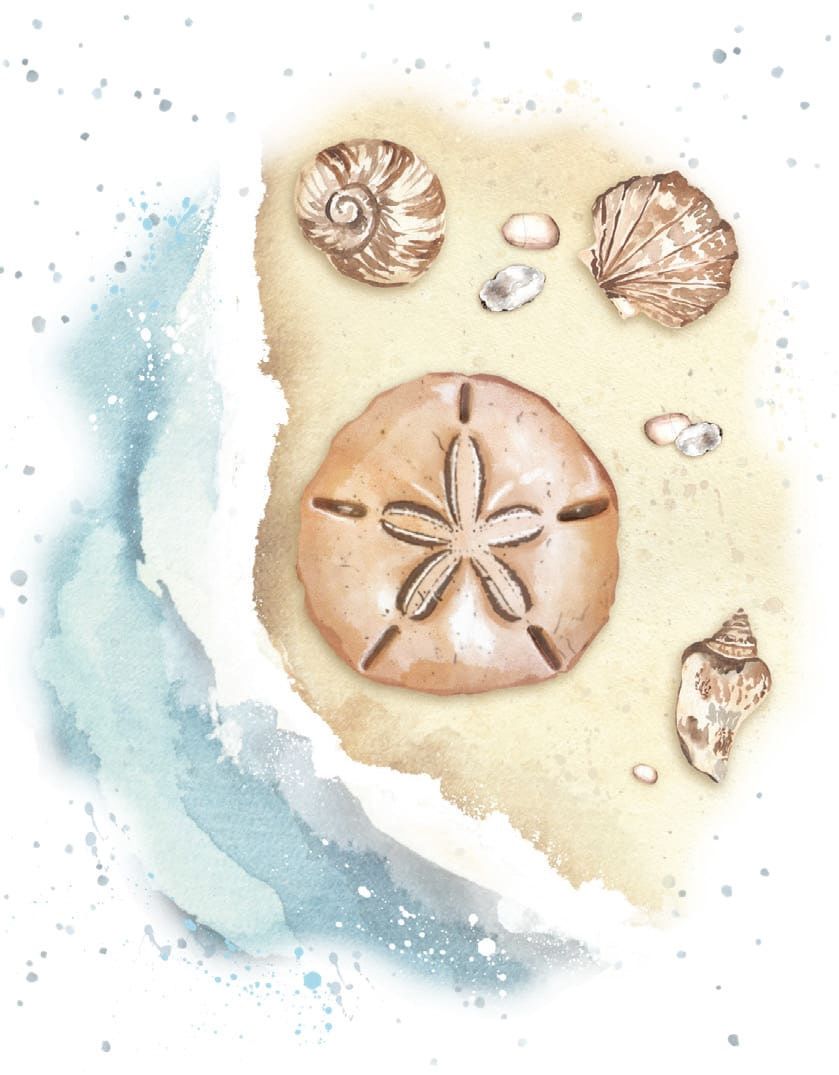 Treasures in the Sand Mini Card