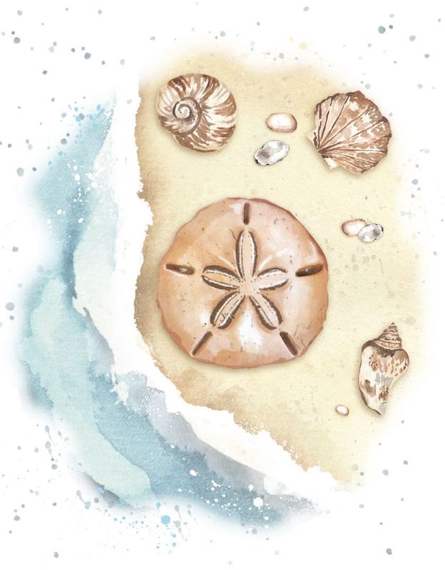 Treasures in the Sand Mini Card