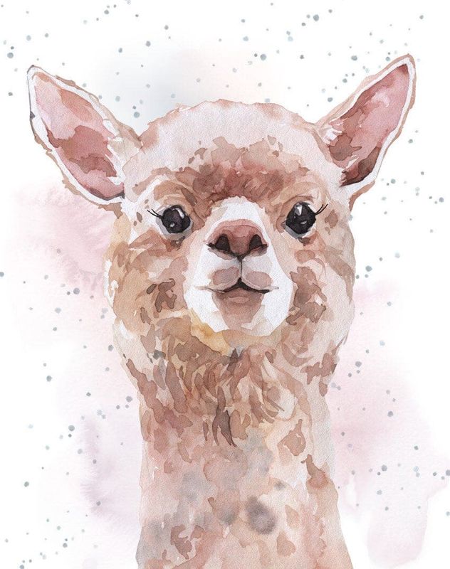 No Prob-Llama Mini Card