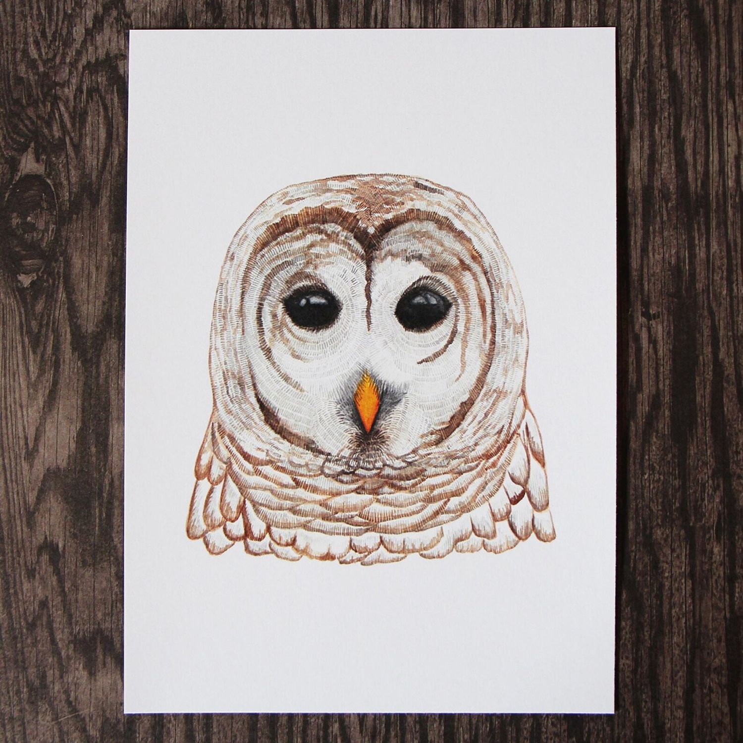 Owl Watercolour 8 x 10 Print