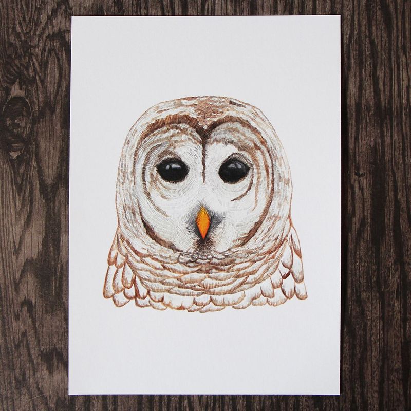 Owl Watercolour 8 x 10 Print