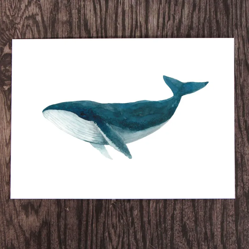 Humpback Whale 8 x 10 Watercolour Print