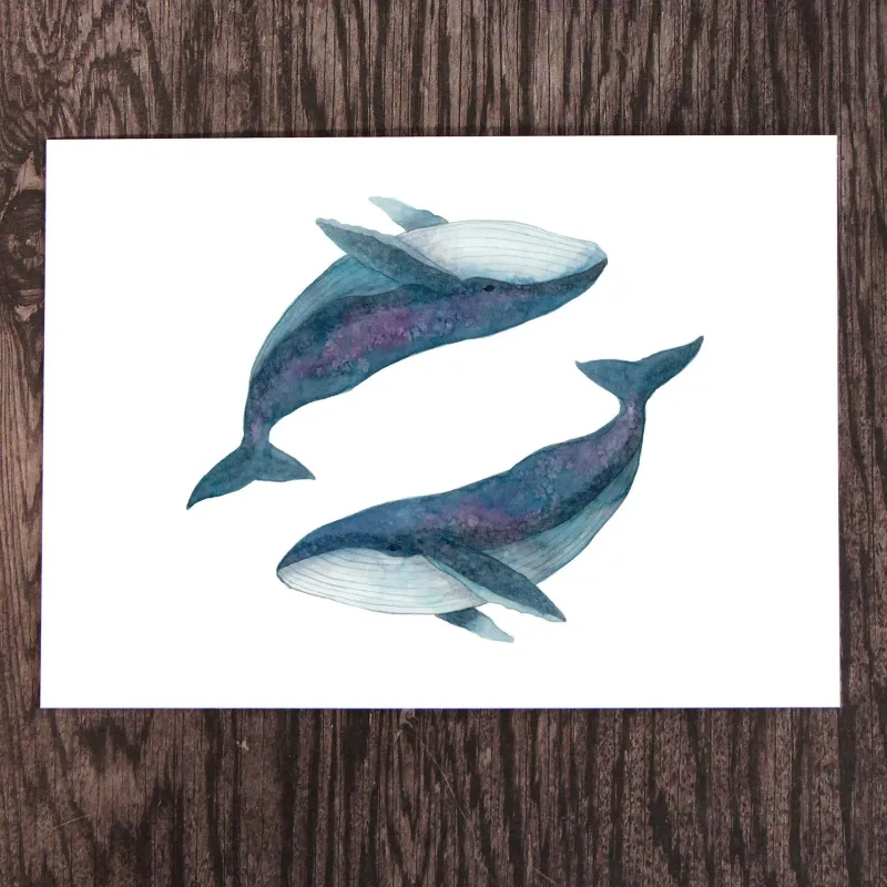 Two Humpback Whales 8 x 10 watercolour Print