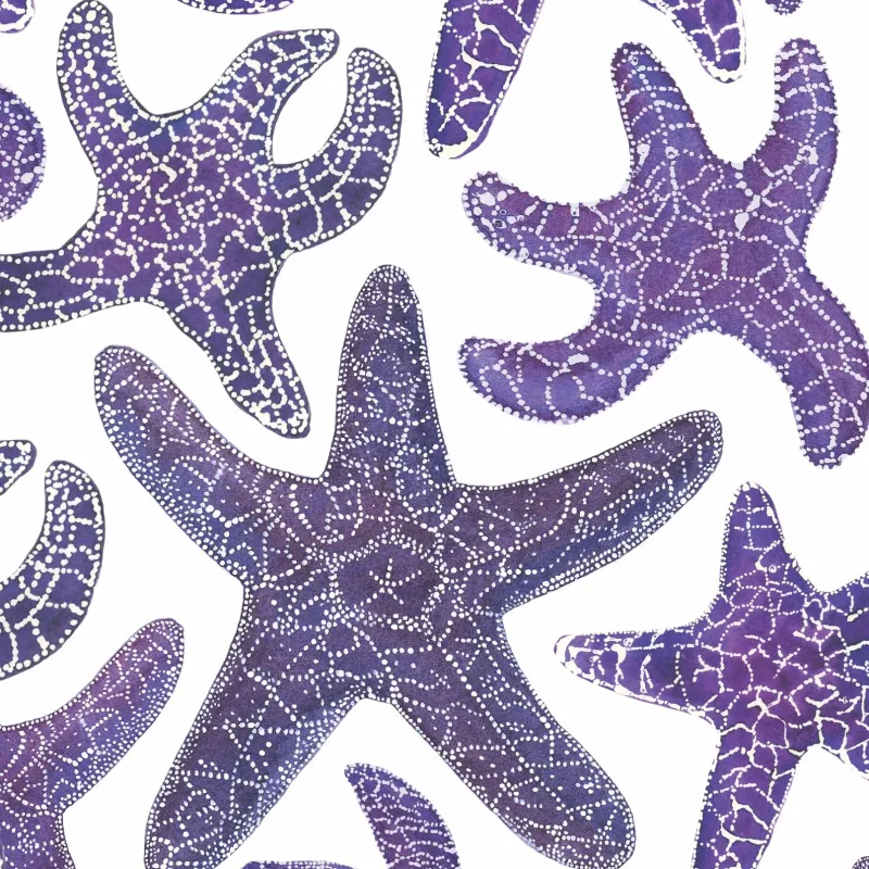 Purple Starfish 5 x 7 Watercolour Print