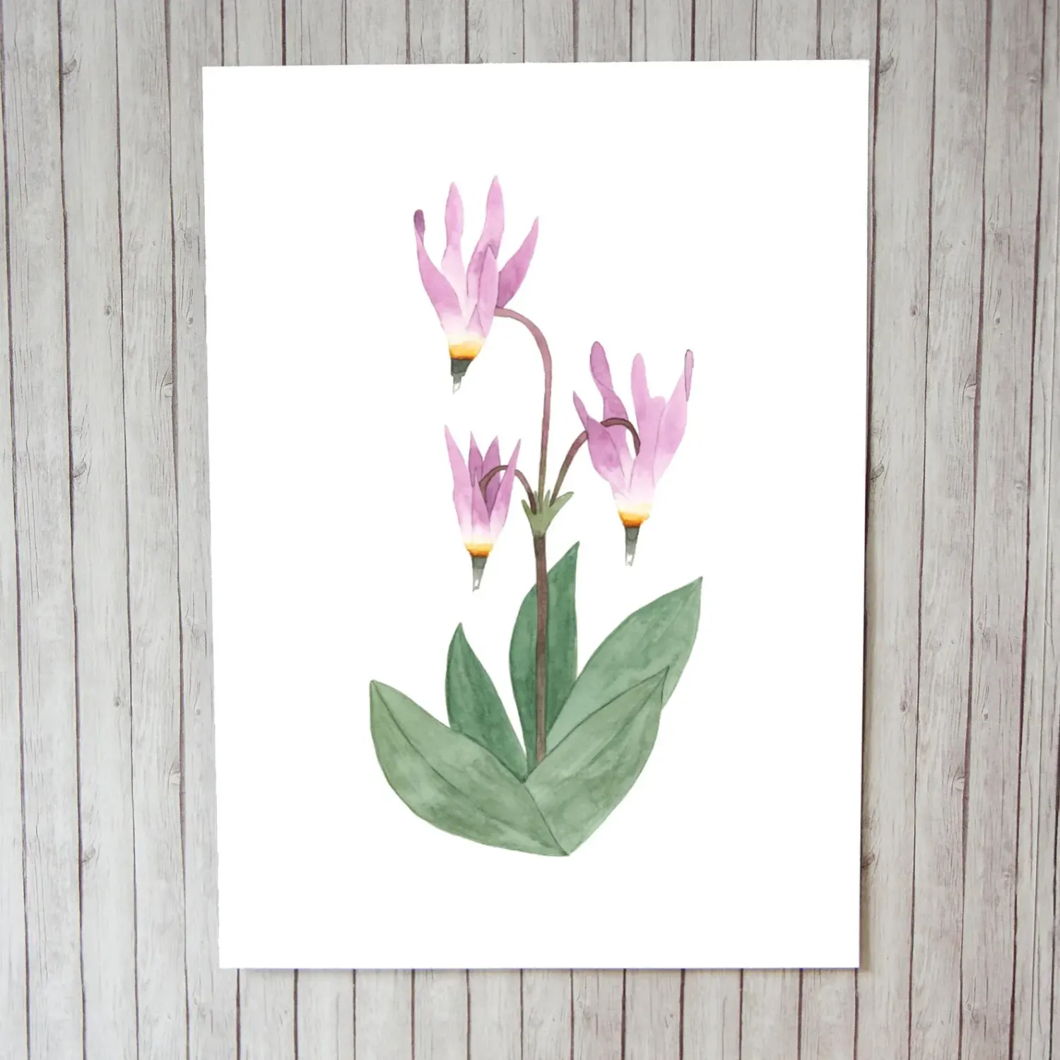 Pink Starflower 5 x 7 Watercolour Print