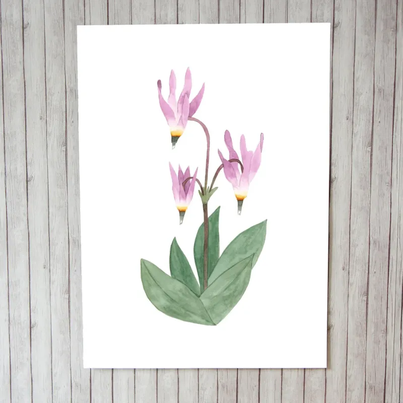Pink Starflower 5 x 7 Watercolour Print