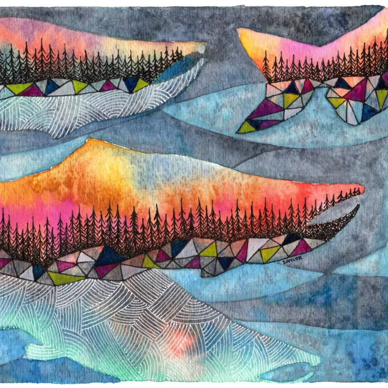 Salmon Run 5 x 7 Watercolour Print